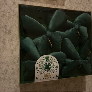 “New” Green Holiday St. Patrick's Day 6 ft Garland